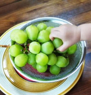 お子さまにも食べやすい  <br>シャインマスカットのおいしい食べ方