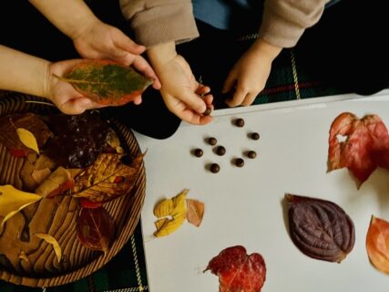 子どもといっしょに紅葉を楽しもう