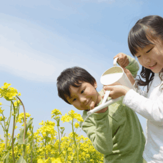新緑の季節にぴったり！お庭でできる簡単な植物育て