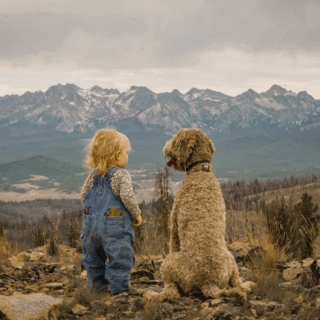 🐾 “かわいい”だけじゃない、ペットと子育て